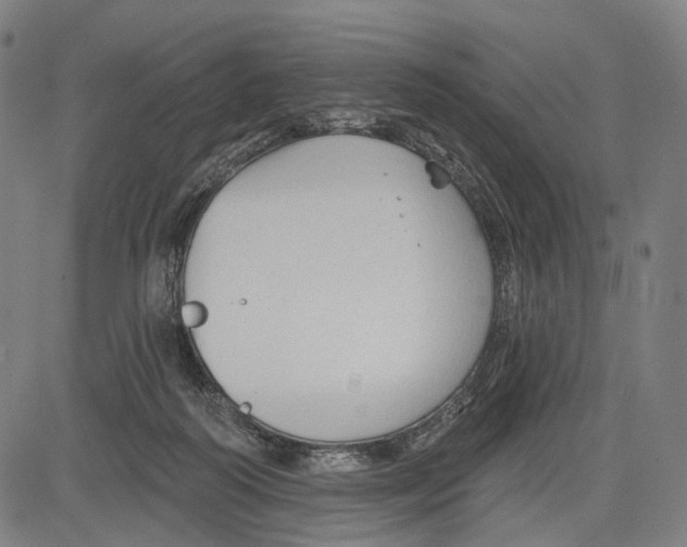 X0000083610218200703121611