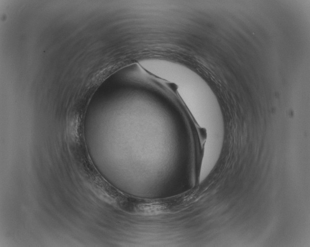 X0000083610219200703121611