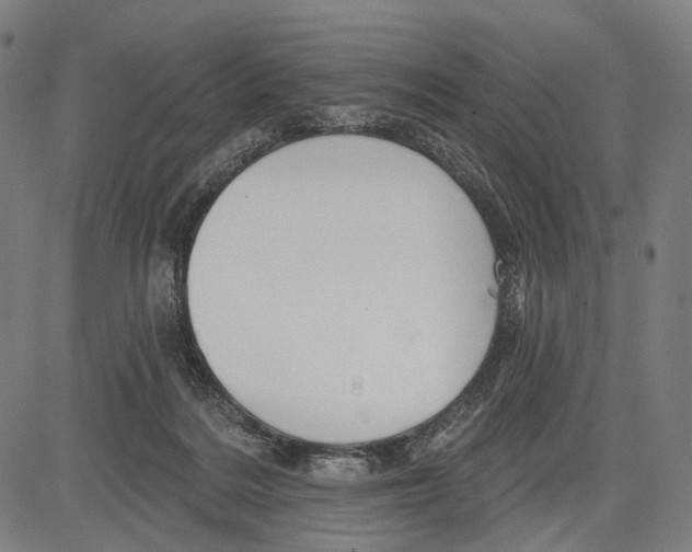 X0000083610220200703121611