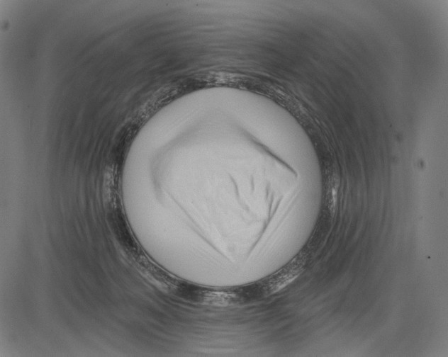 X0000083610222200703121611