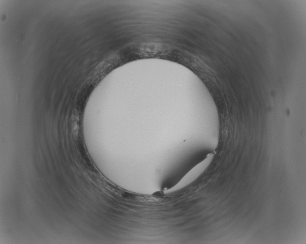 X0000083610226200703121611