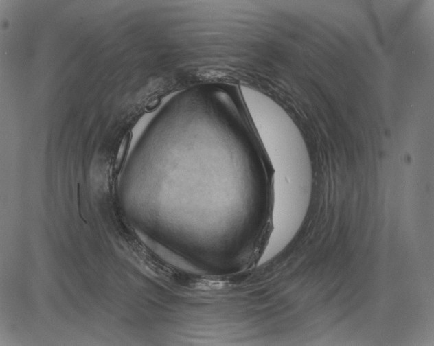 X0000083610227200703121611