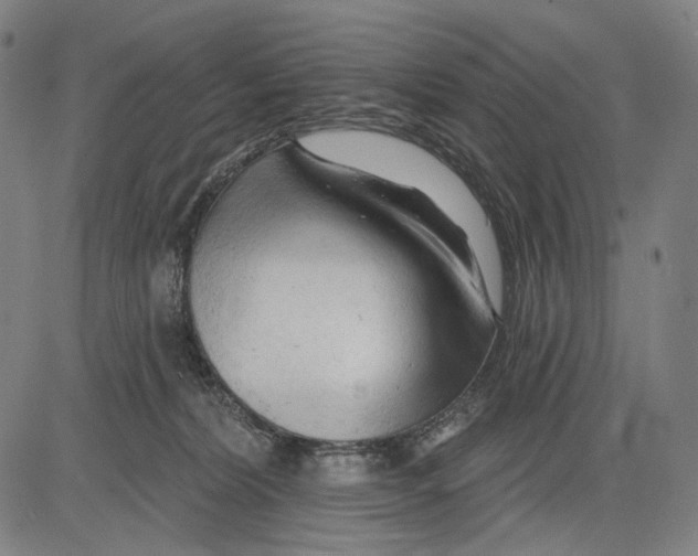 X0000083610228200703121611