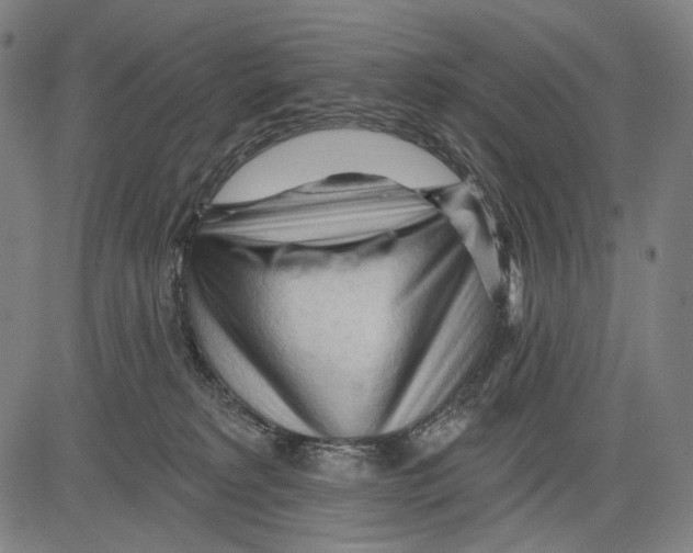 X0000083610229200703121611