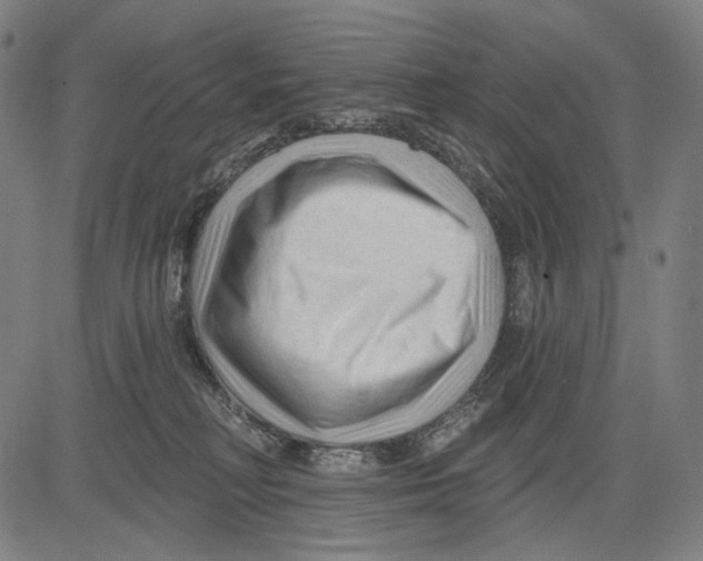 X0000083610230200703121611