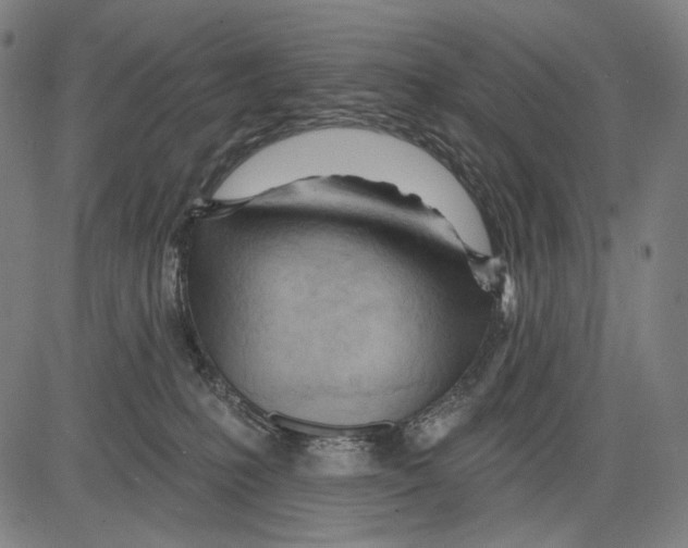 X0000083610231200703121611