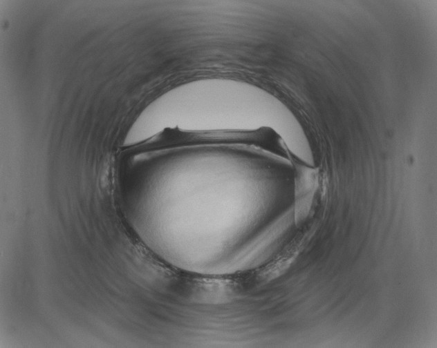 X0000083610233200703121611