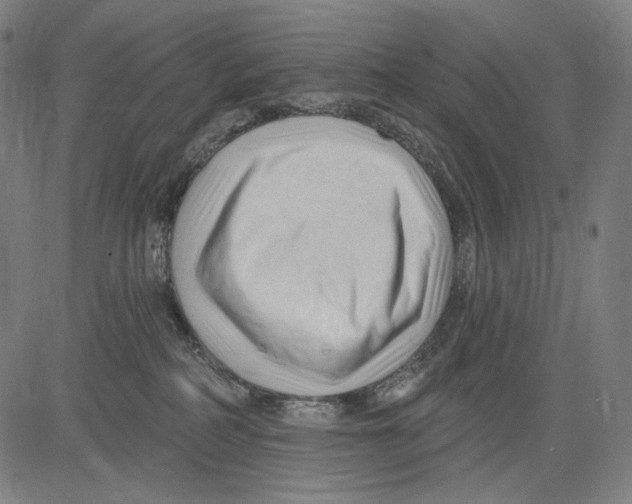 X0000083610234200703121611