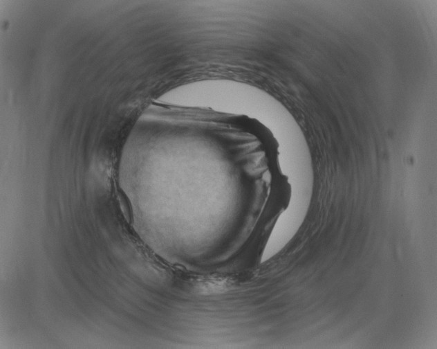 X0000083610235200703121610