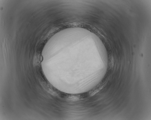 X0000083610236200703121610