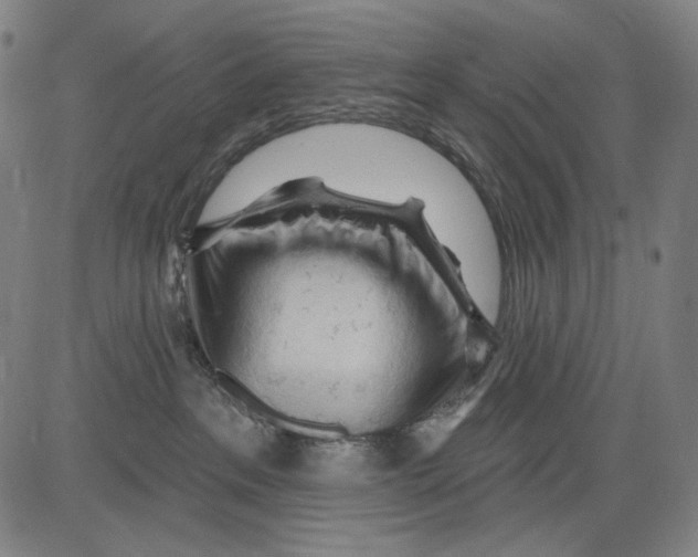 X0000083610237200703121610