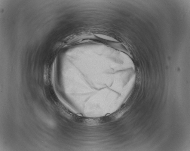 X0000083610238200703121610