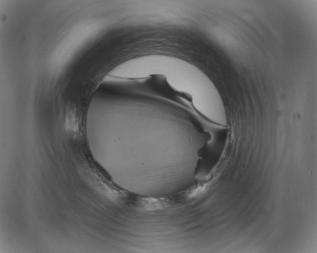 X0000083610239200703121610