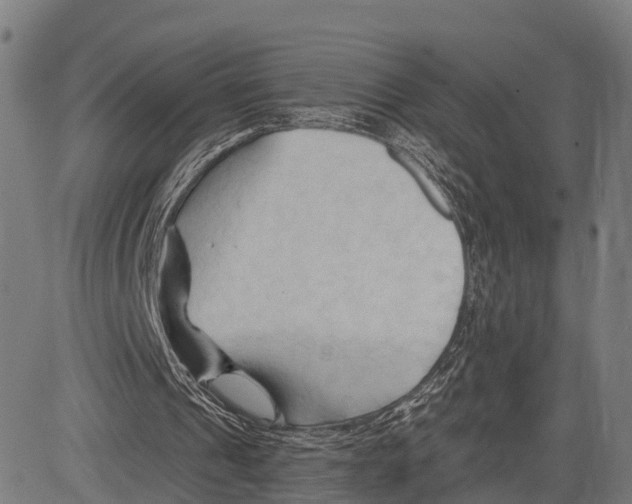 X0000083610241200703121610