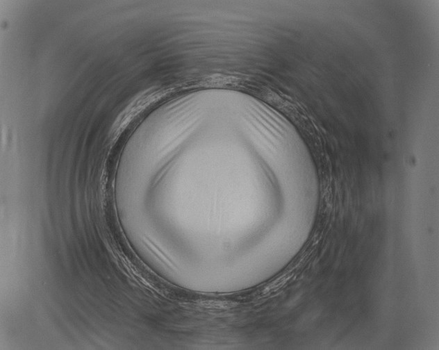 X0000083610242200703121610