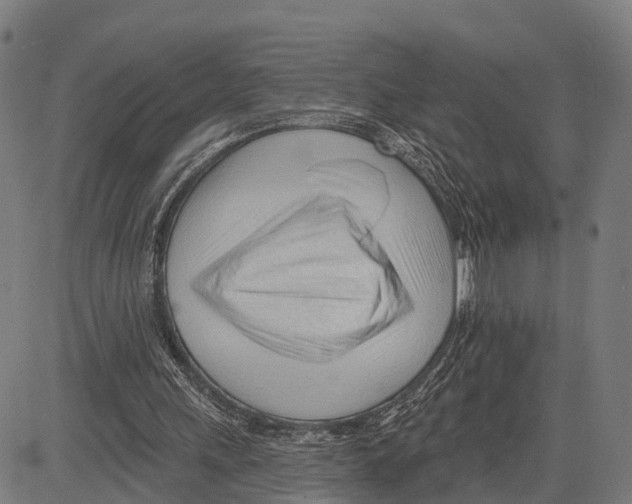 X0000083610243200703121610