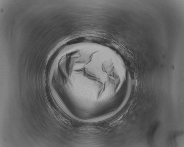 X0000083610244200703121610