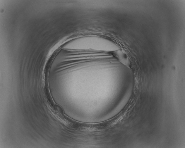 X0000083610246200703121610