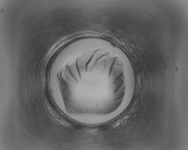 X0000083610247200703121610