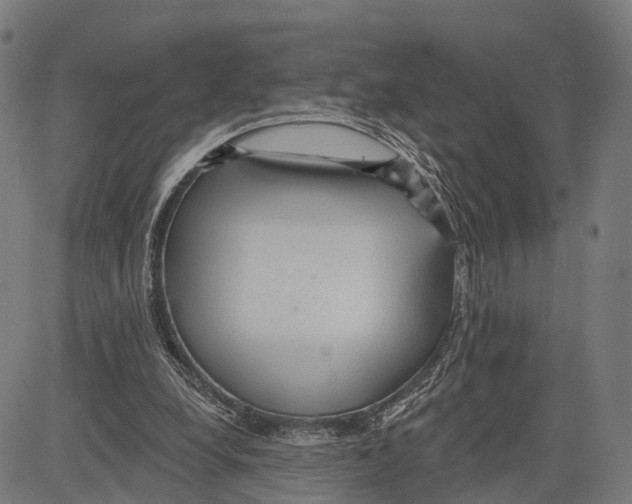 X0000083610248200703121610