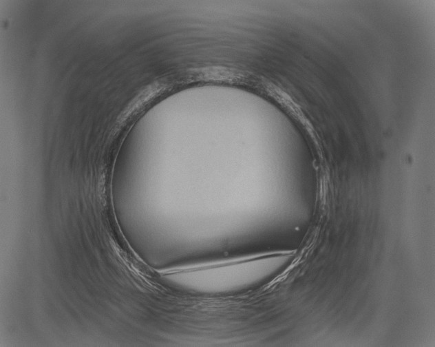 X0000083610249200703121610