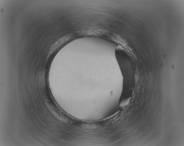 X0000083610250200703121610