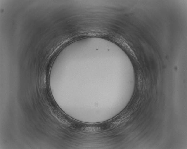 X0000083610251200703121610