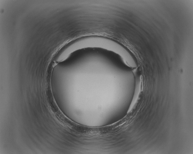 X0000083610252200703121610