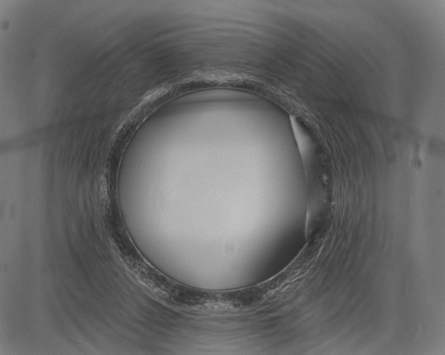 X0000083610256200703121610