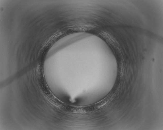 X0000083610258200703121610