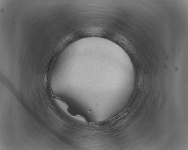 X0000083610259200703121610