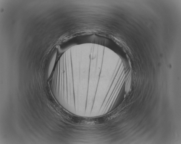 X0000083610260200703121610