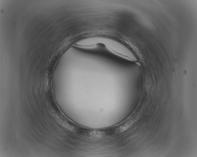 X0000083610261200703121610