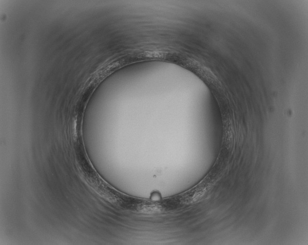 X0000083610262200703121610