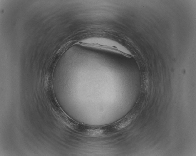 X0000083610266200703121610