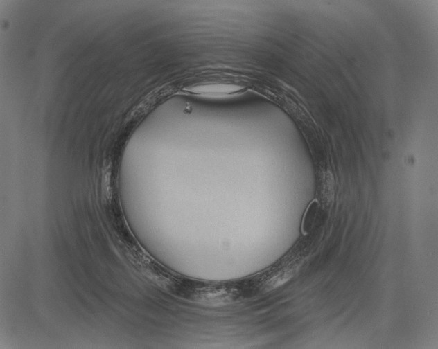 X0000083610267200703121610