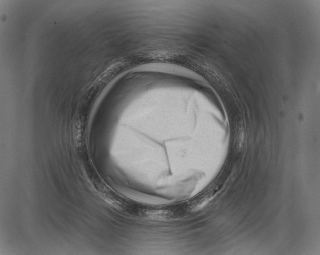 X0000083610268200703121610