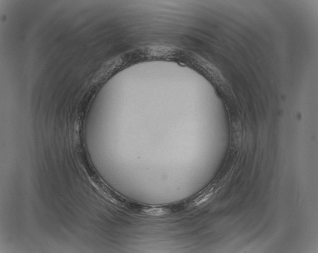 X0000083610269200703121610