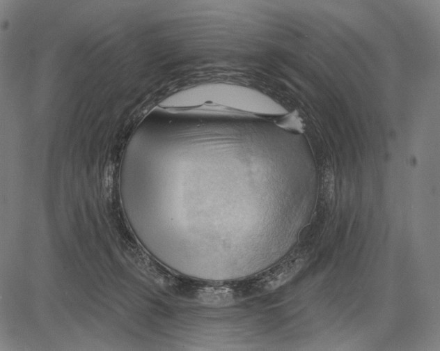 X0000083610271200703121610