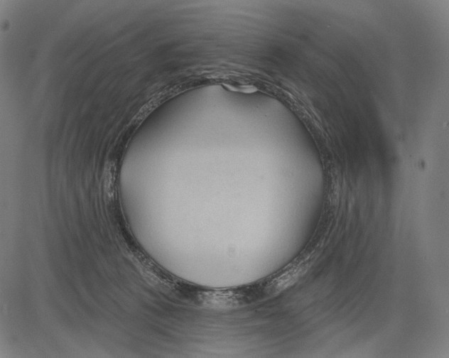 X0000083610273200703121610