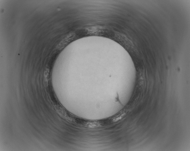 X0000083610275200703121610