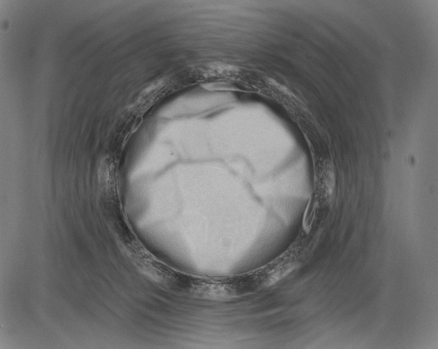 X0000083610276200703121610