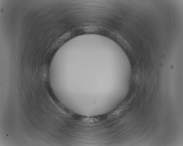 X0000083610277200703121610