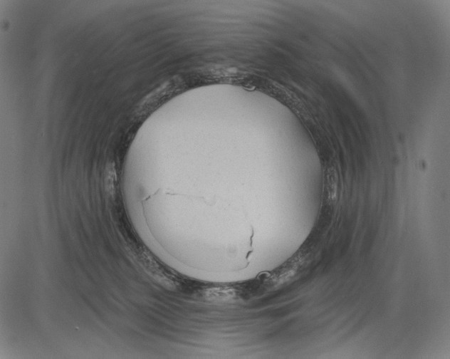 X0000083610279200703121610