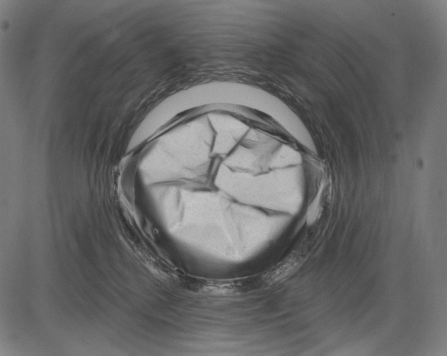 X0000083610280200703121610