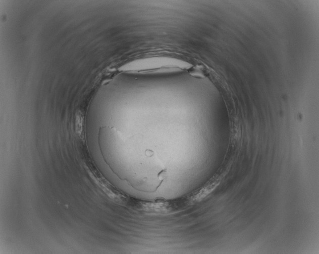 X0000083610281200703121610