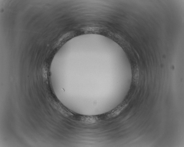 X0000083610282200703121610