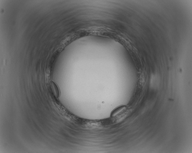 X0000083610283200703121610