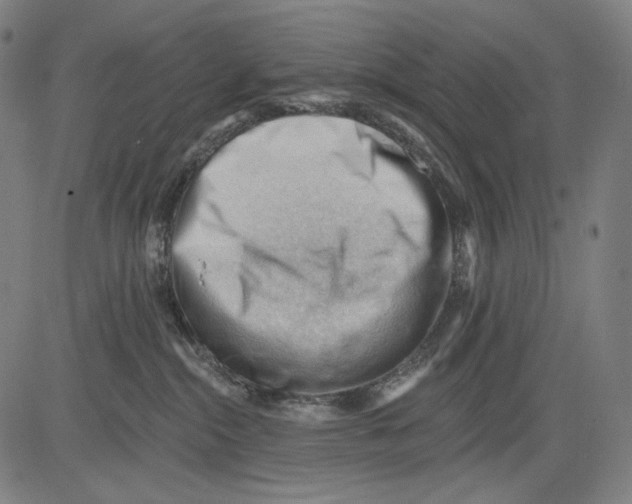 X0000083610284200703121610