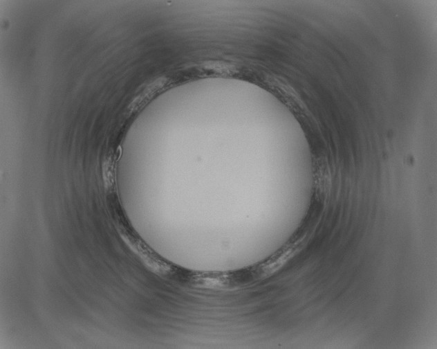 X0000083610285200703121610